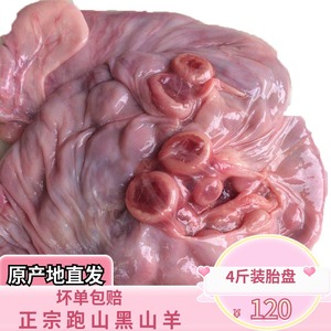 新鲜羊胎盘羊房子紫河车羊仔内羊包衣农家散养黑山羊肉羊胎衣包邮
