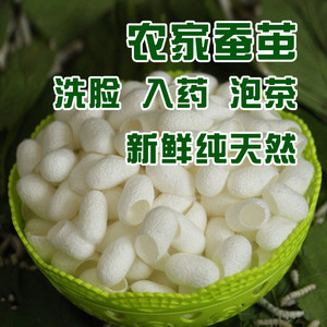 天然彩色蚕茧美肤美容茧蚕茧壳洗脸蚕丝球学生手工带蛹干茧金丝茧