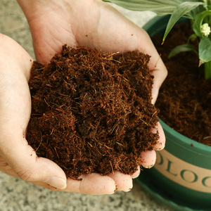 宠物垫材营养土种花椰土种菜椰粉泥砖盆栽椰子椰糠椰砖种菜多基质