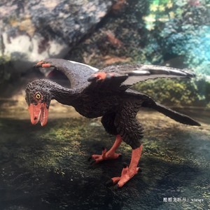 始祖鸟模型