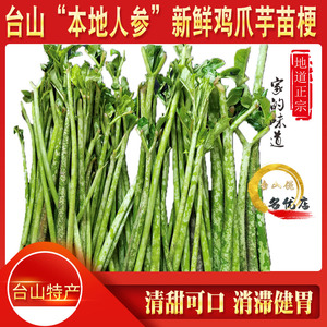 新鲜鸡爪芋苗梗台山特产2024包邮食用农产品清甜可口消滞健胃