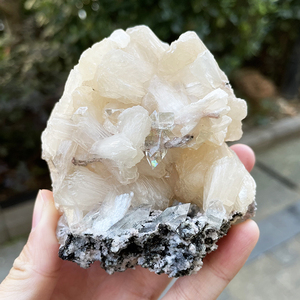 天然水晶钻石鱼眼石原石矿物白晶体摆件矿标印度共生沸石