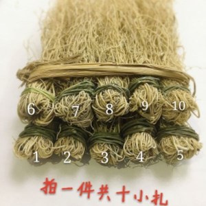 养肝草丝线根