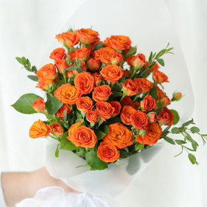 鲜花花束橙色芭比多头玫瑰花束情人节礼物鲜切花云南基地直发