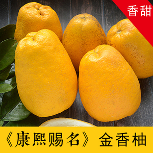 金香柚湖南冬瓜柚农家纯甜湘西慈利大山野生新鲜水果老树冰糖柚子