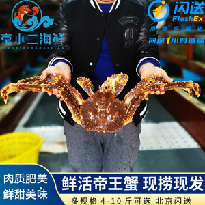特大阿拉斯加鲜活帝王蟹 长脚蟹皇帝蟹海鲜螃蟹 4斤一只 北京闪送