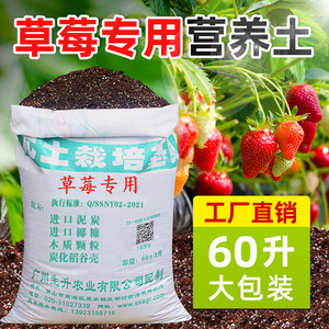 生升农业草莓基质土壤专用土草莓土营养土种植土泥炭土种草莓的土