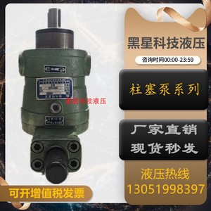 上海恒高液压油泵10/25/40/63/80/100/160/250YCY14-1B轴向柱塞泵