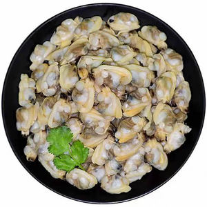 花蛤肉 花甲花蛤 蛤蜊肉 嘎啦肉 文蛤 无沙 10斤 文蛤肉 新鲜