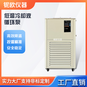DLSB低温冷却液循环泵冷却水循环机冷却液循环泵制冷循环机冷水机