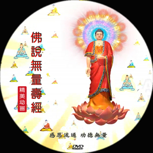 佛说无量寿经3d动画片 海涛法师 dvd光盘 光碟