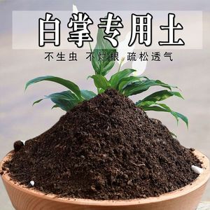 白掌专用土一帆风顺专用营养土盆栽养花种花土通用种植土有机肥料