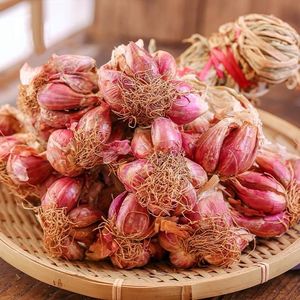 祁东桂华商行淘宝四季扁葱头干葱头广东红葱头2斤