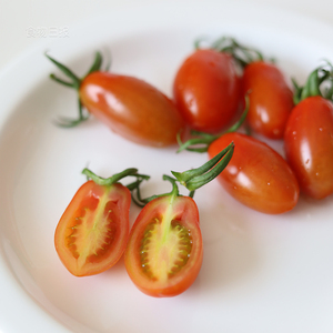 食物日报 花生小番茄 北纬39度日照自然熟小西红柿 非千禧 更香甜