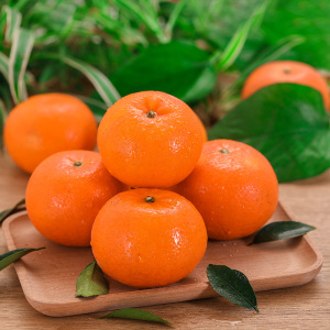 40点昊百货淘宝【爆甜】正宗广西砂糖橘当季新鲜水果薄皮桔子沙糖