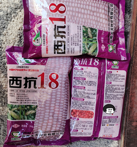 云南 大天种业 飞燕牌 西抗18 西抗18号 杂交玉米种 饲料包谷种子