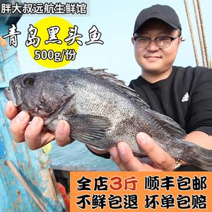 【黑头鱼鲜活海鱼】黑头鱼鲜活海鱼品牌,价格 - 阿里巴巴