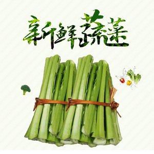 5斤净重】新鲜四川奶奶菜包包青菜广安青菜梗泡菜用泡沫箱装2人付款
