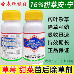 草莓专用除草剂甜菜田草莓苗后阔叶杂草甜菜安宁农药草莓友甜多收