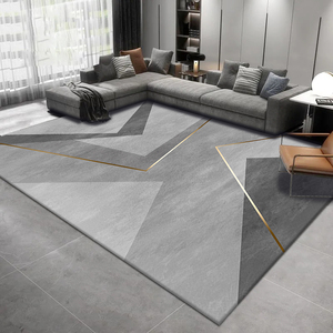 现代简约客厅地毯2024新款轻奢高级感茶几毯沙发家用天津榻榻米垫