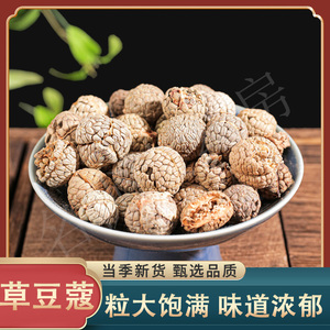 中药材草豆蔻 老蔻波蔻 大草扣草寇仁米草豆寇调料香料250克my