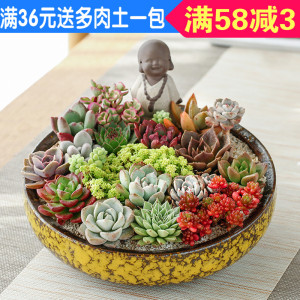 大疆内推码怎么用