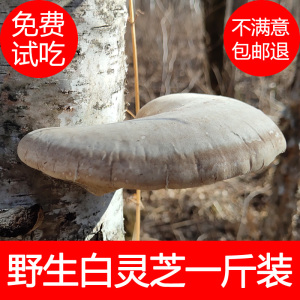 803人付款淘宝灵芝野生一斤装白灵芝野生白芝玉芝五色