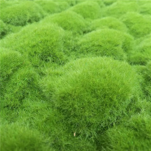 仿真苔藓草皮塑胶 植绒青苔 植物墙草坪鼓包抓包室内挂壁绿色装饰
