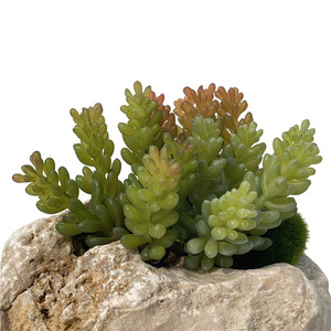 仿真多肉绿植葡萄果肉diy植物拼盘组合盆栽塑胶花配材软胶玉莲