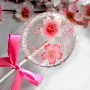 日本樱花手工糖果星空棒棒糖