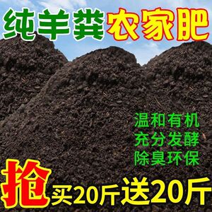 羊粪发酵有机肥内蒙古种菜肥羊粪100斤营养土鸡粪专用养花家用肥