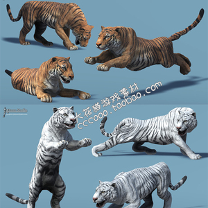 unity3d 动物模型 亚洲动物 老虎 带动作动画 游戏资源素材