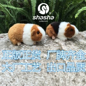 天竺鼠 毛绒玩具 荷兰鼠 荷兰猪公仔 仓鼠 豚鼠 公仔 仿真动物 萌