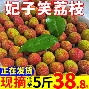 现货 2023海南妃子笑荔枝桂新鲜现摘甜当季水果味5斤整箱包邮孕妇