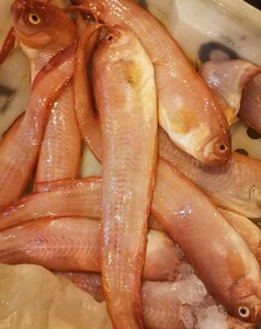 浙江东海现捕新鲜 红带鱼(宽)赤刀鱼 海鲜水产海鱼 1-3条/斤500g