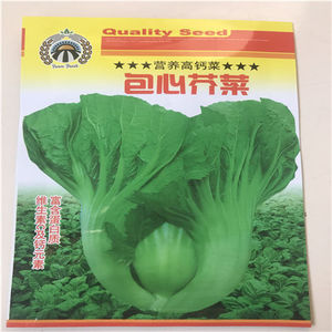 芥菜种子大肉包心大芥菜胆卷心芥菜包心荠菜蔬菜种子
