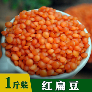 土耳其红扁豆