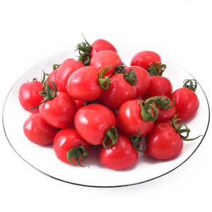 海南红千禧1斤 十年老店圣女果小番茄新鲜水果蔬菜沃鲜汇生鲜超市