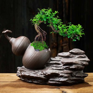 紫砂花盆葫芦造型创意小榕树菖蒲盆栽客厅桌面摆件文竹陶瓷个性盆