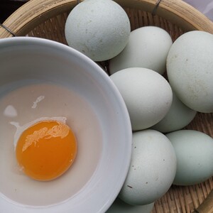 四川农家散养麻鸭绿壳鸭蛋新鲜 30枚