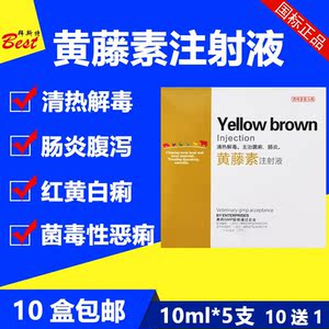兽药黄藤素注射液牛羊药兽用猪药拉稀药小猪黄白痢腹泻下痢肠炎药