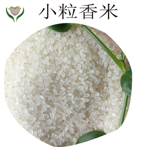 东北稻花香小粒香大米深山珍珠米可放心吃的大米5斤一袋