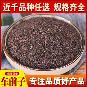 中药材 特级车前子 车前草种子 新鲜干货 500克