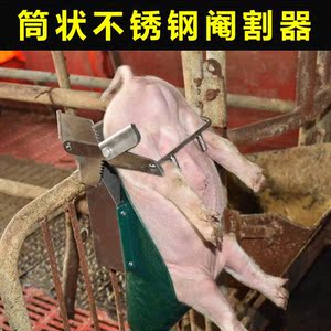 仔猪阉猪神器