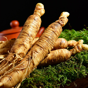 【新鲜白参】新鲜白参品牌,价格 - 阿里巴巴