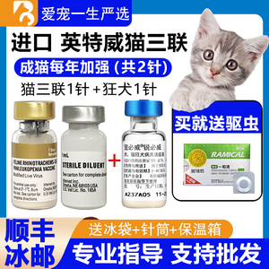tb970733533淘宝荷兰英特威猫三联进口疫苗小猫针幼猫成年猫防猫鼻