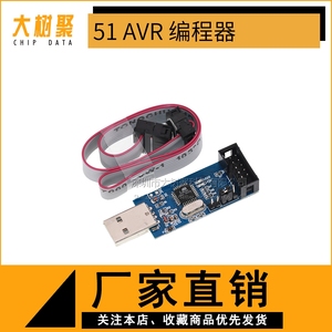 51 AVR 编程器 ISP USBASP下载器 USBISP 下载线 SUNLEPHANT