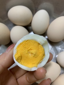 农家散养土鸡蛋笨鸡蛋现捡现发50枚一箱包邮