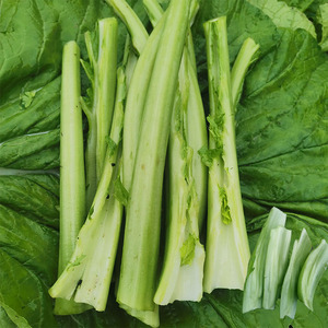 青菜梗芥菜片新鲜宽帮大叶菜茎做芽菜咸菜泡酸菜煮鱼汤火锅材料