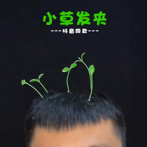小草装饰发卡发夹头盔小发卡头上长草绿豆芽头顶卖萌青草搞怪抖音